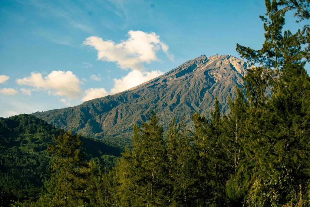 Mount Meru above forest in the Arusha area.